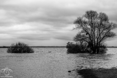 2025_APictureADay_015