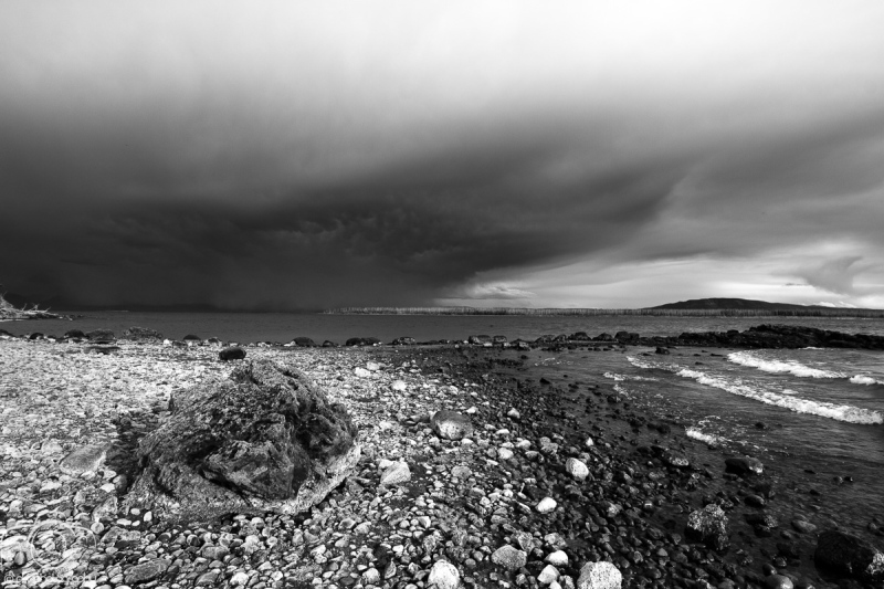 002_BlackWhite