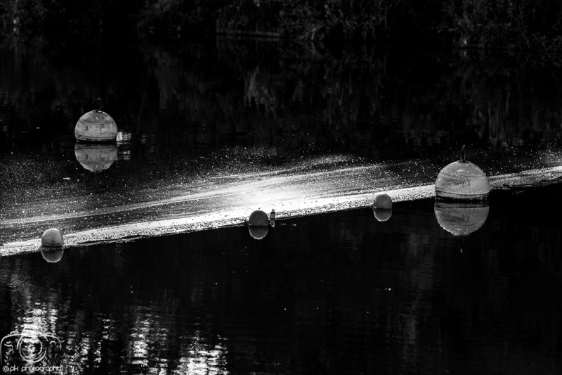 040_BlackWhite