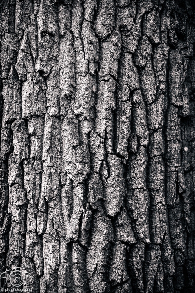 044_BlackWhite