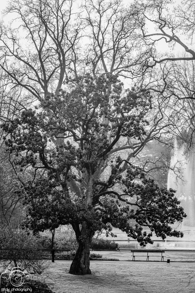 048_BlackWhite