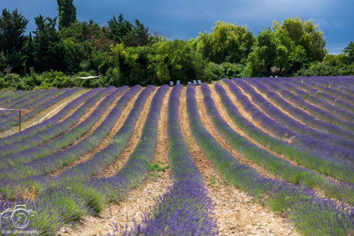 A day in Provence