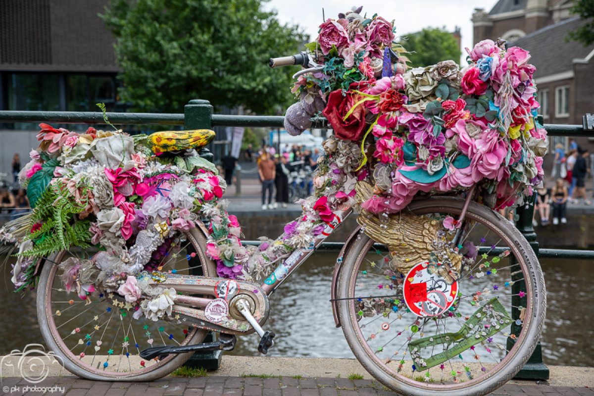 Flourishing bikes