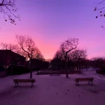 Published_APictureADay_087_opt