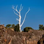 Published_APictureADay_108_opt