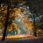 Published_APictureADay_118_opt